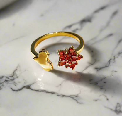 Iraq’s Red Rose Ring