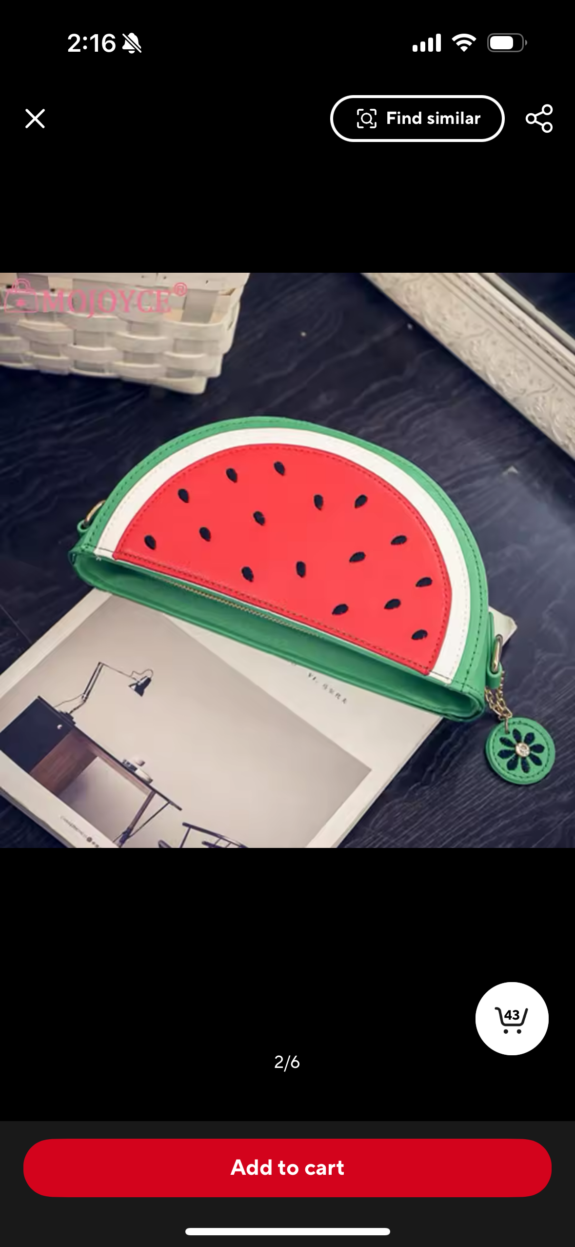 The Watermelon Purse