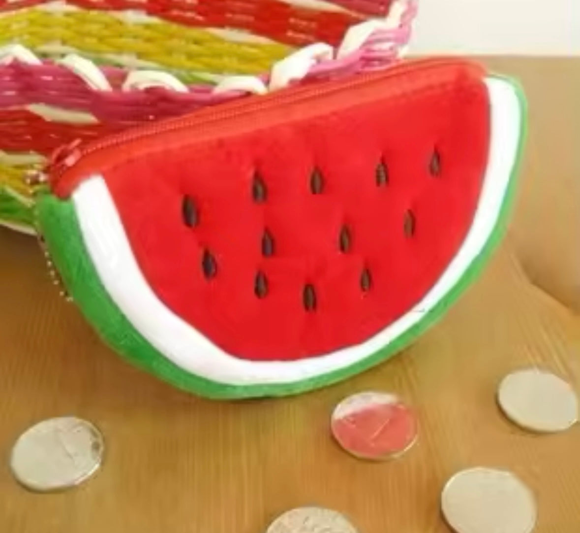 Plush Watermelon Pouch