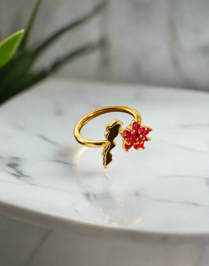 Morocco’s Rose Ring