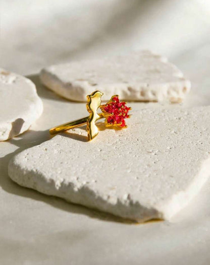 Morocco’s Rose Ring